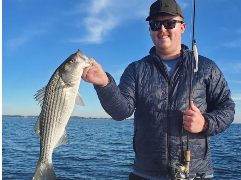 striped bass fishing chesapeake bay