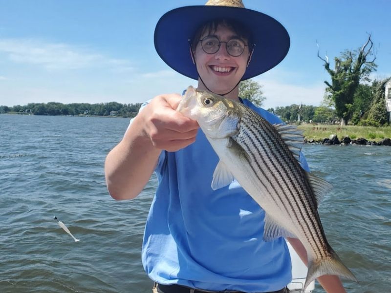 striped bass fishing chesapeake bay
