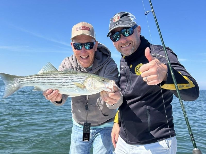 Striped bass fishing Chesapeake Bay