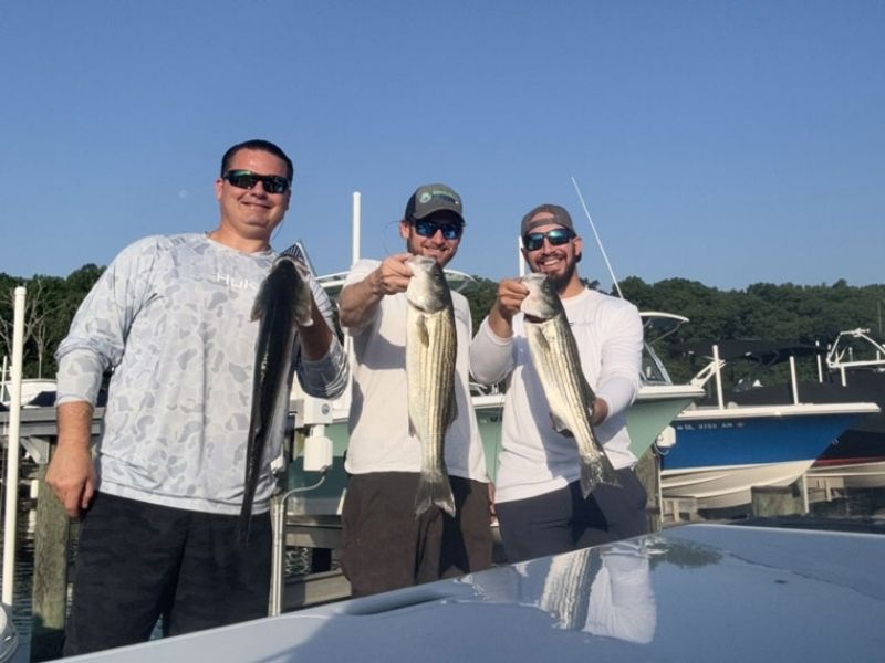 striped bass fishing chesapeake bay