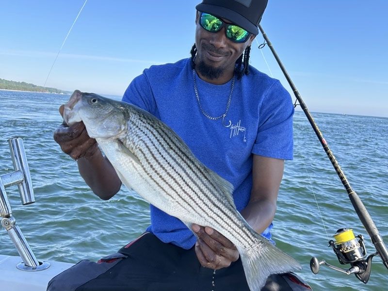 Striped bass fishing Chesapeake Bay