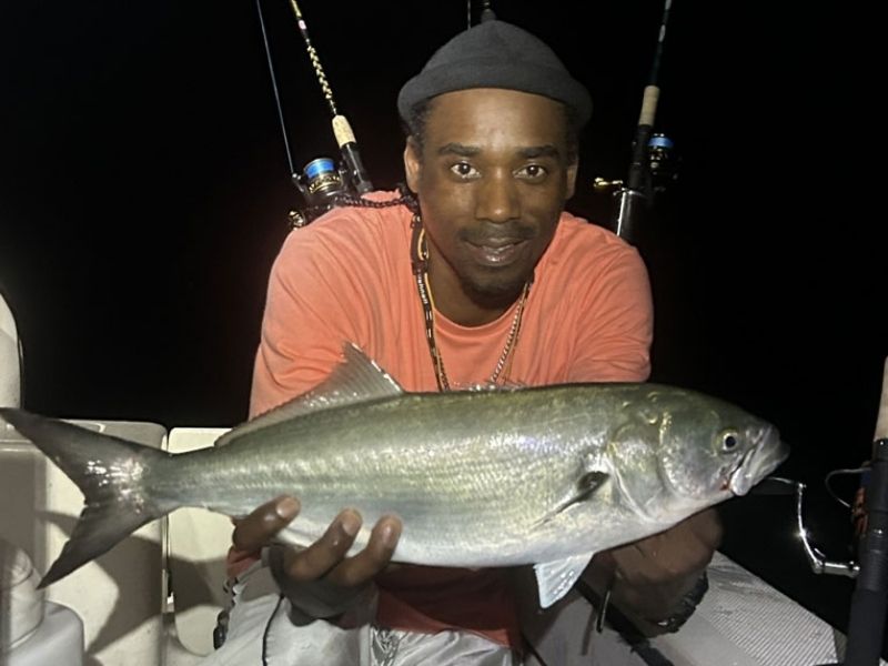 Bluefish fishing Chesapeake Bay