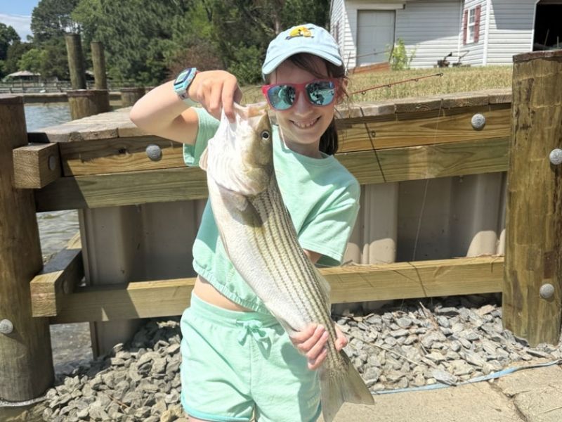 Striped bass fishing
