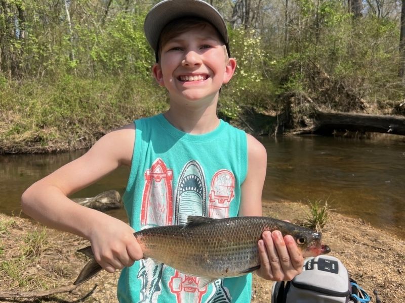 Spring shad fishing