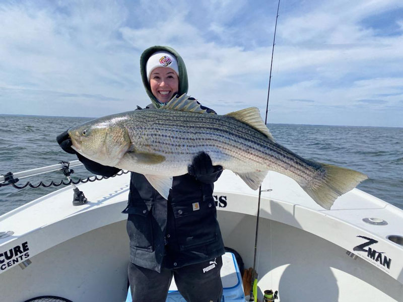 trophy rockfish in the middle chesapeake bay