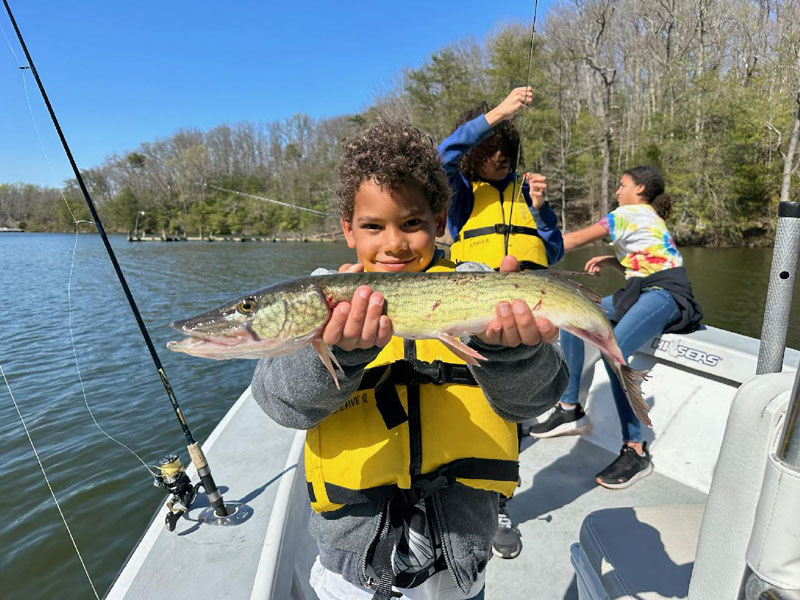 severn river pickerel