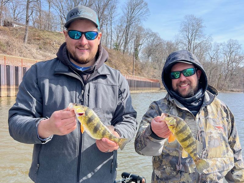 yellow perch fishing chesapeake bay