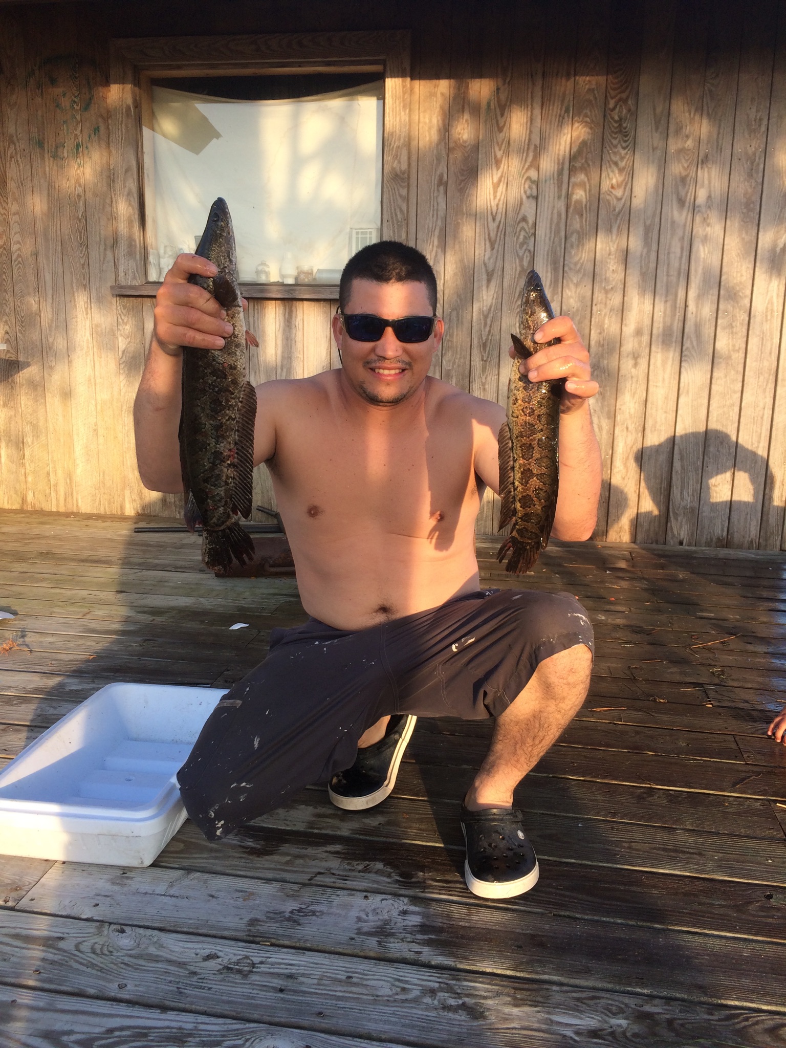 snakehead fishing chesapeake