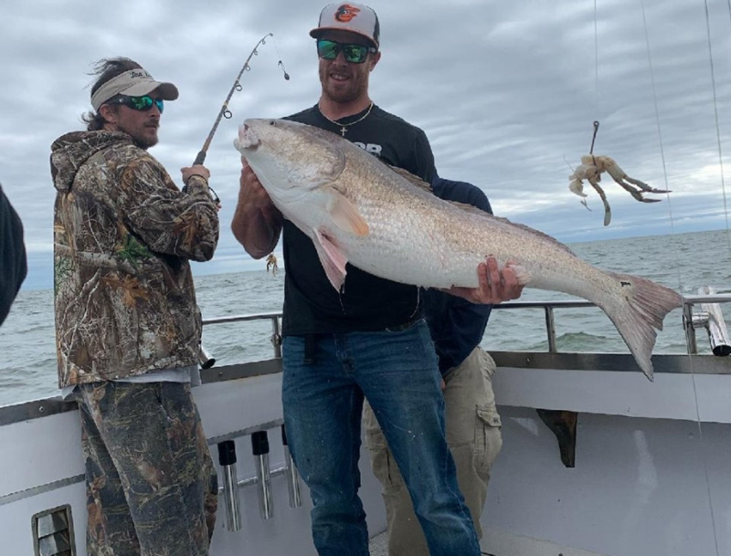 big redfish in the sounds