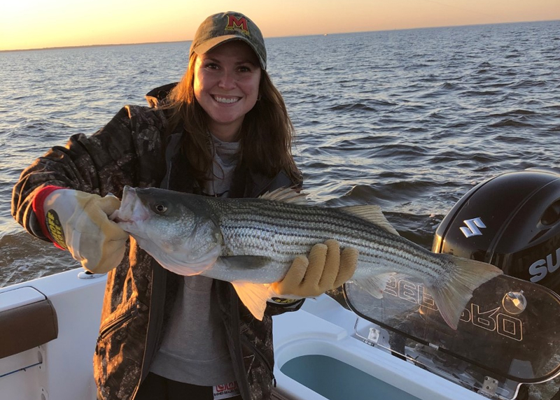 rockfishing in the chesapeake