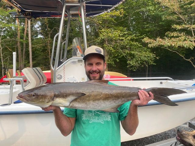 fisherman with a cobia he caught