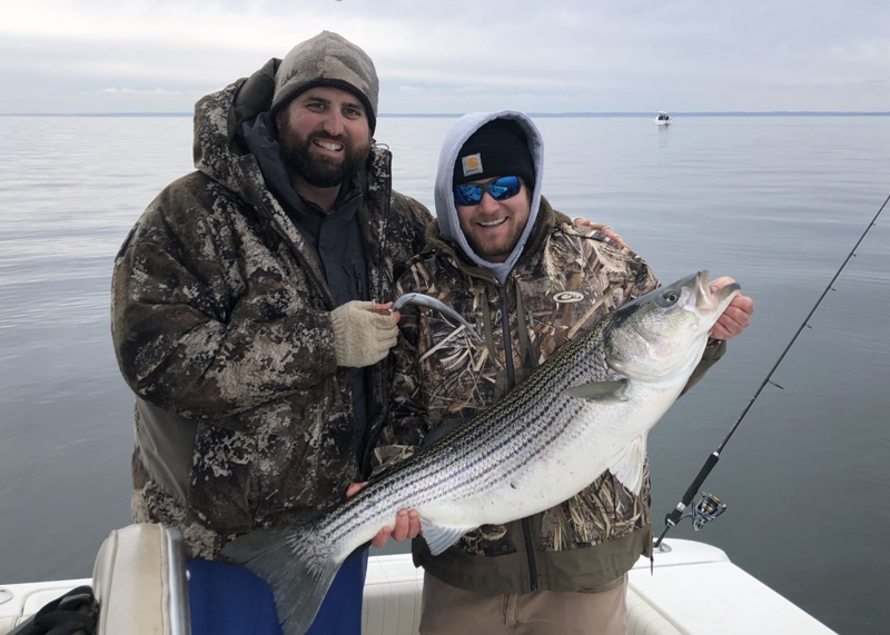 early spring rockfish on the bay