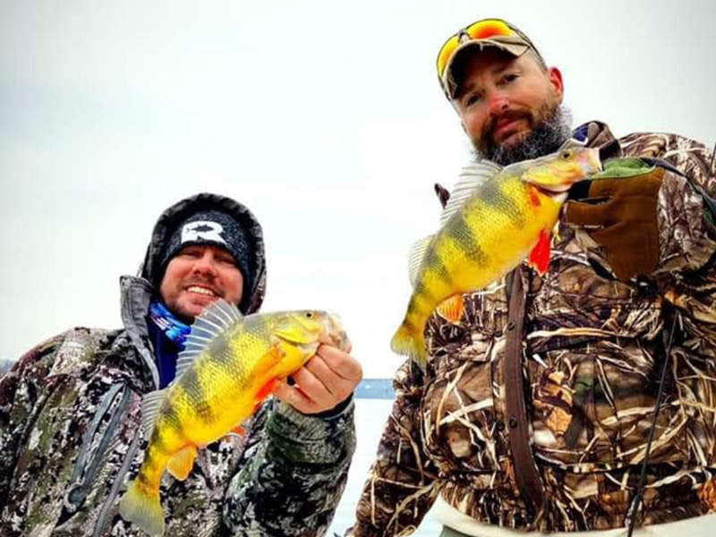 yellow perch anglers with a catch