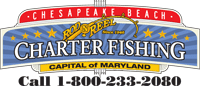 chesapeake beach rod n reel charter fishing 