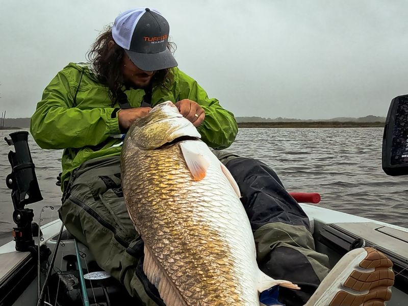 red drum fishing Chesapeake Bay