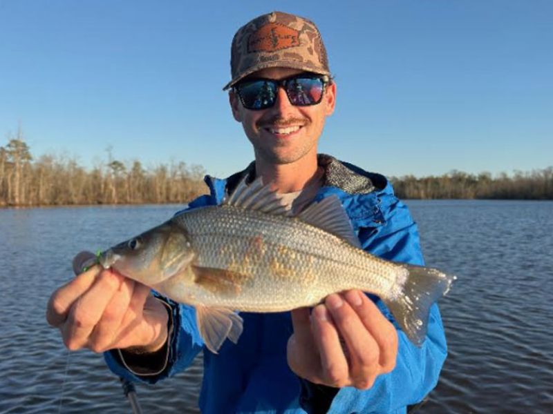 White perch fishing chesapeake bay