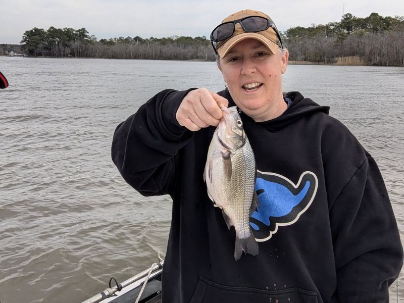 White perch fishing chesapeake bay