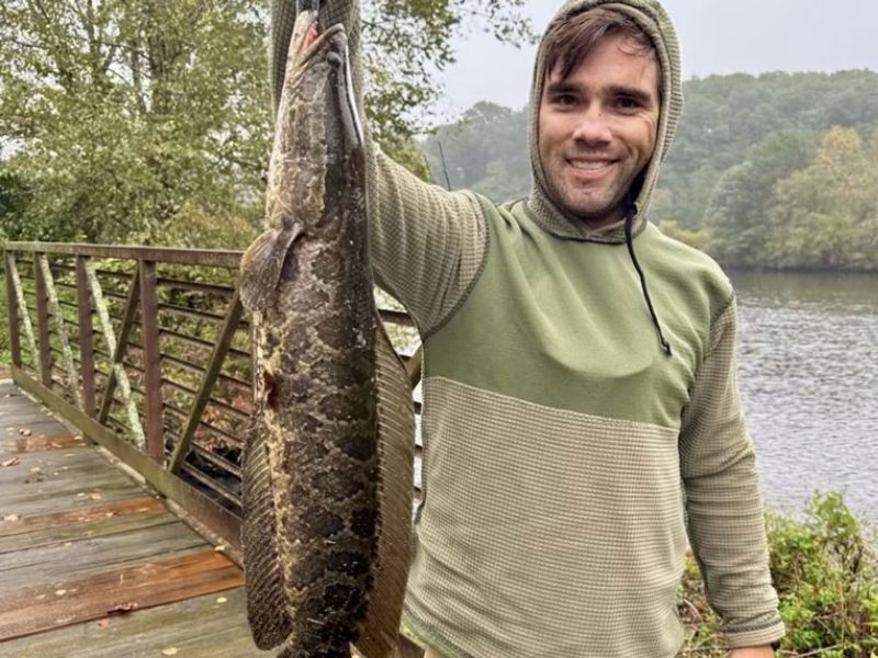 Snakehead fishing Maryland