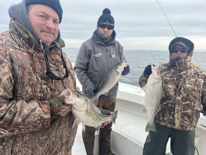 striped bass fishing chesapeake bay
