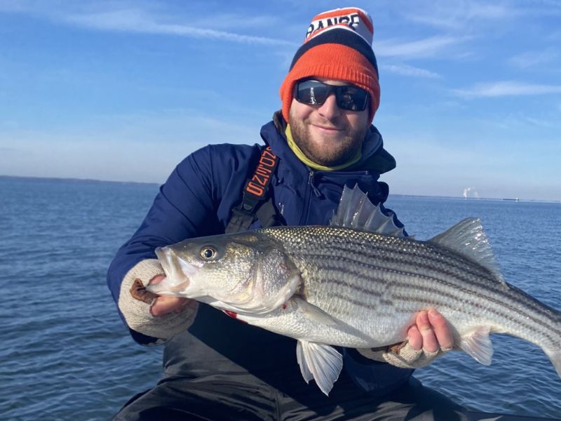 striped bass fishing chesapeake bay