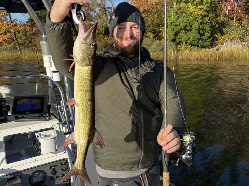 pickerel fishing chesapeake bay