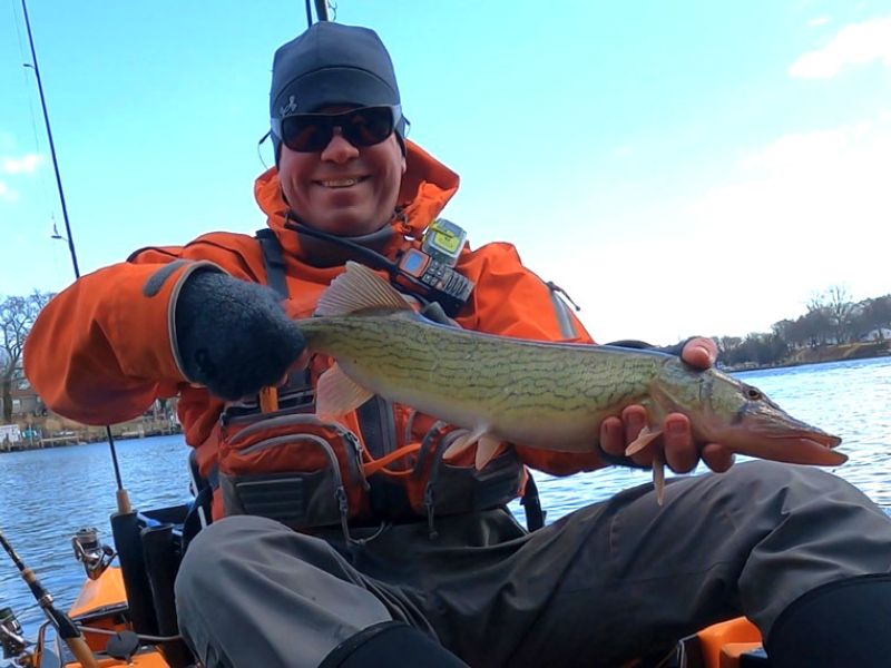 pickerel fishing chesapeake bay