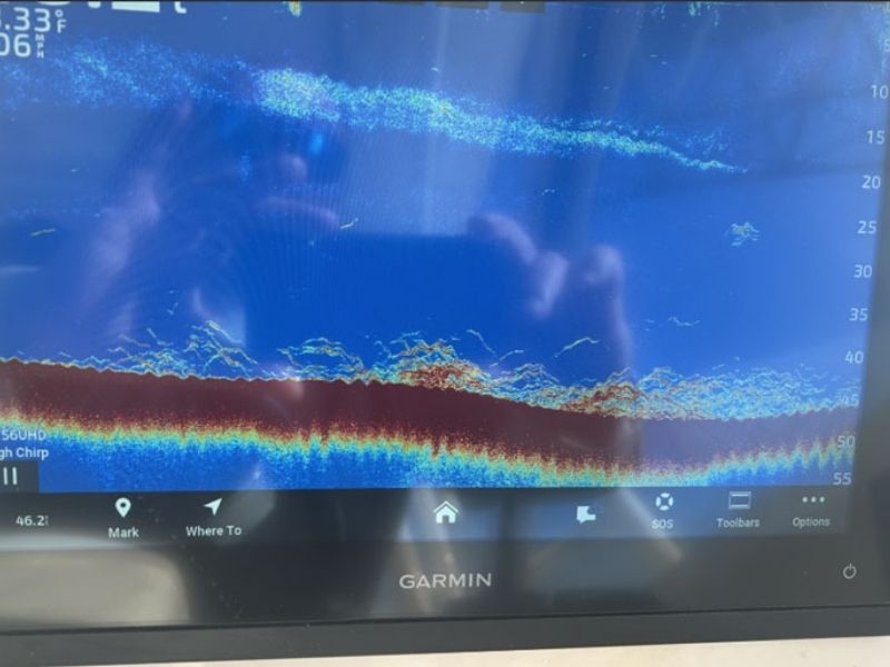 Striped bass fishing