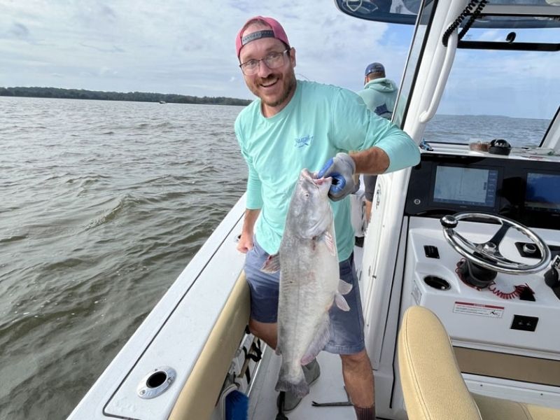 Striped bass fishing Chesapeake Bay