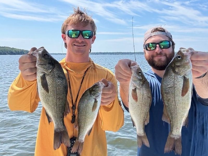 White perch fishing chesapeake bay