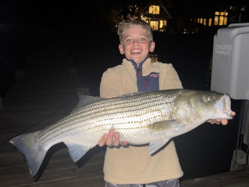 Trophy striped bass fishing Chesapeake Bay