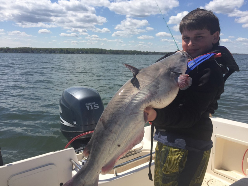 big upper bay catfish