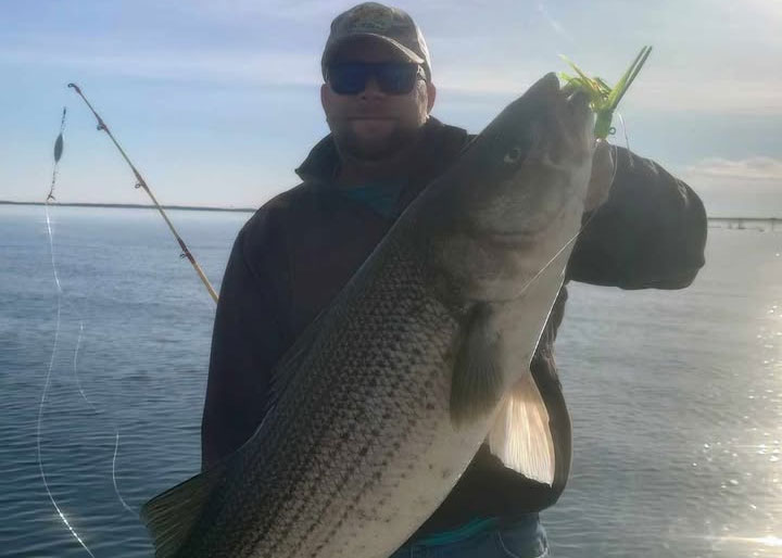 huge rockfish off the dumping grounds