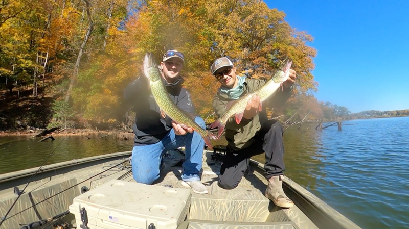 upper bay pickerel