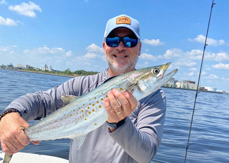 upper bay spanish mackerel