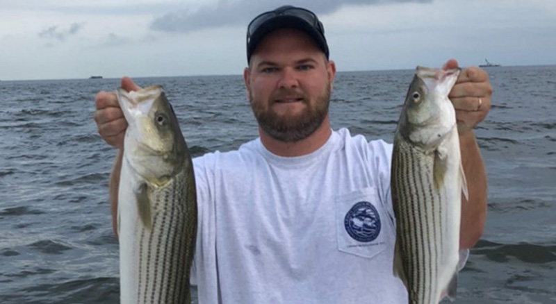 striped bass from the upper chesapeake bay