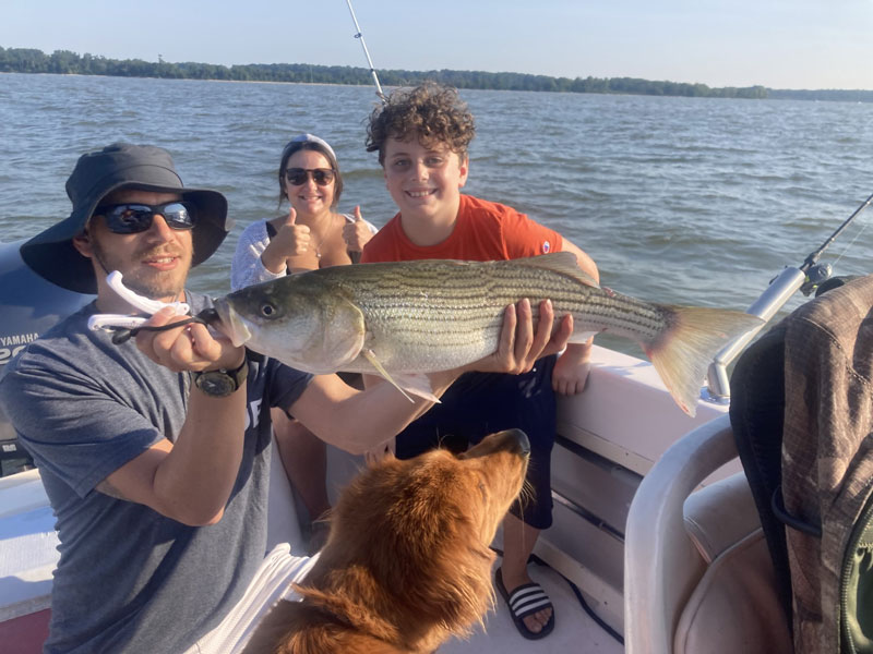 rockfish caught north of the bridge