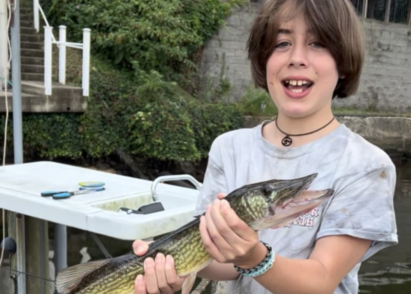 pickerel in the upper bay