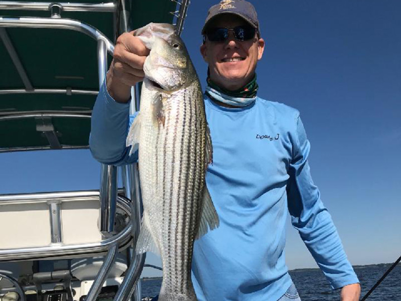 Live Lining for Rockfish Chesapeake Bay MD & Rock Hall Fishing