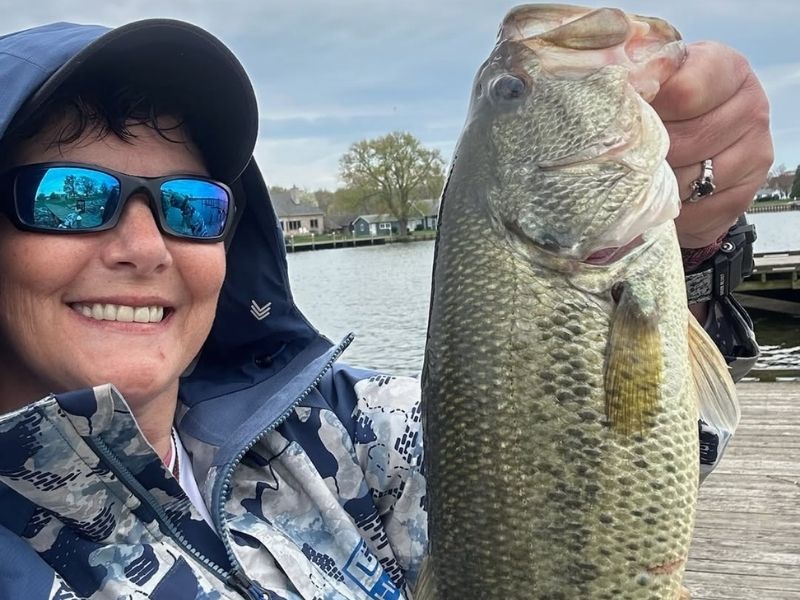 Largemouth bass fishing