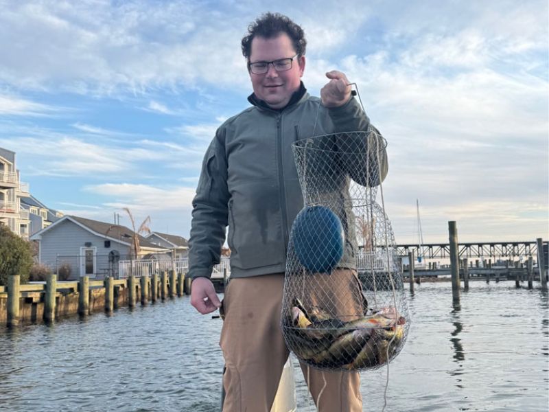 yellow perch fishing chesapeake bay