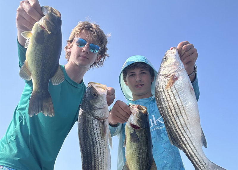 mix of rockfish and largemouth bass