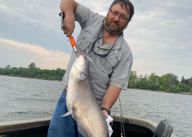 susquehanna blue catfish