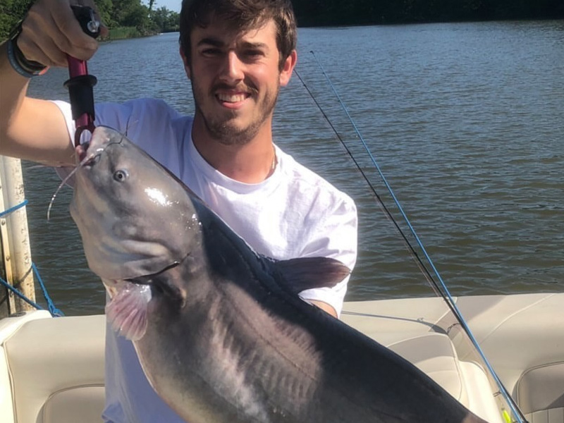 monster catfish caught by an angler in the bay