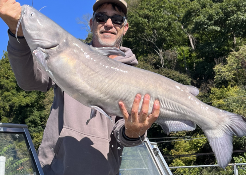 north chesapeake catfish