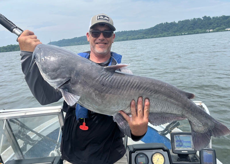 monster blue catfish fishing