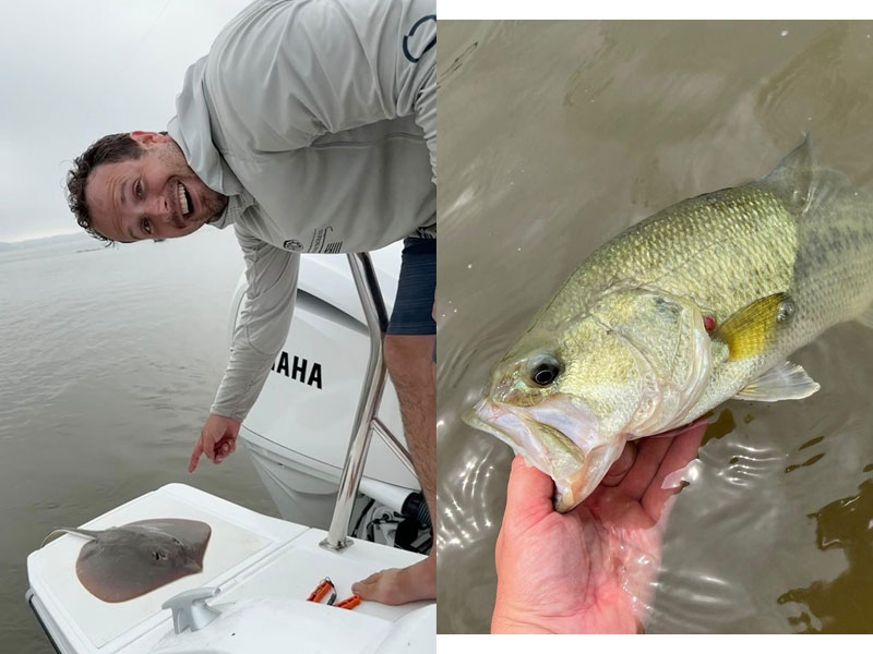 skate caught in chesapeake