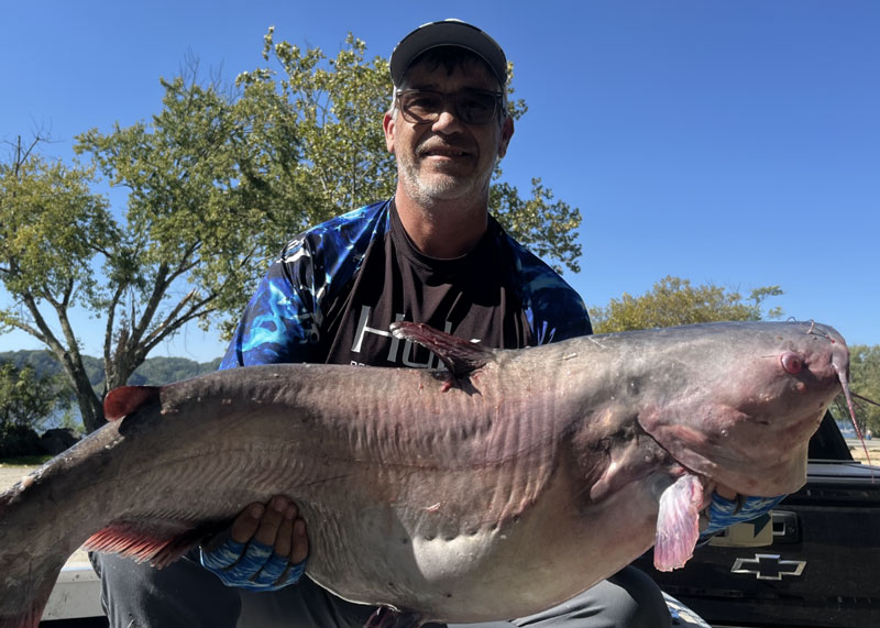 monster blue cat from the chesapeake bay