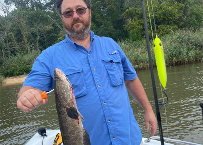 snakehead caught in the Chesapeake