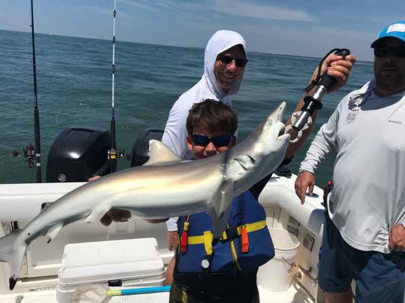 shark fishing in the chesapeake