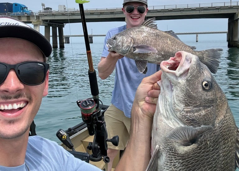 black drum at the cbbt